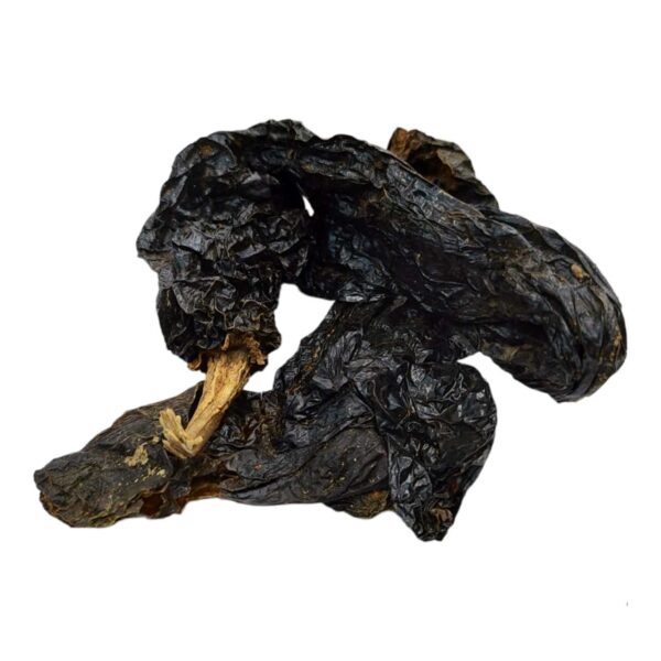 Chile Pasilla
