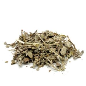 Salvia en Hojas