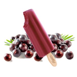 Paletta de Acai BIO