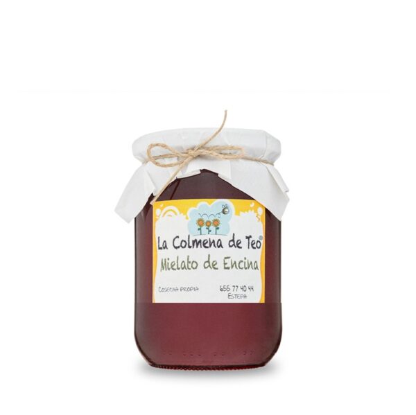 Miel Artesana de Encina 500 gr.