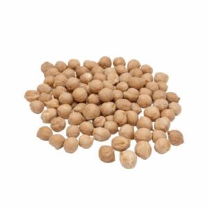 Garbanzo Pedrosillano