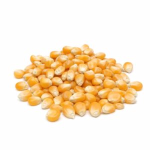 Granos de Maíz para Palomitas