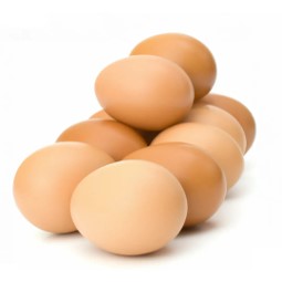 Huevos Camperos