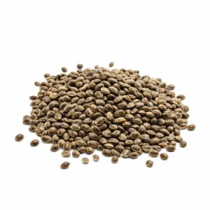 Semillas de Cáñamo