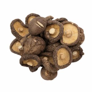 Shiitake